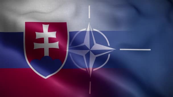 Nato Slovakya Bayrak Döngüsü Arkaplan — Stok video