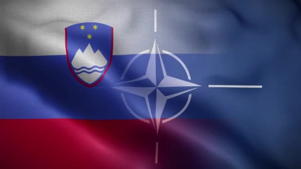 Nato Slovenia Flag Loop Latar Belakang — Stok Video