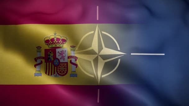 Nato Spanien Flagg Loop Bakgrund — Stockvideo