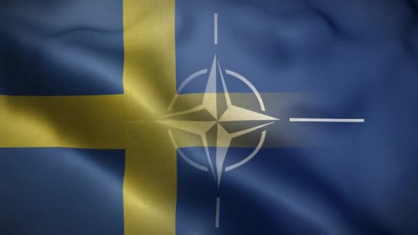 Nato Swedia Bendera Loop Latar Belakang — Stok Video