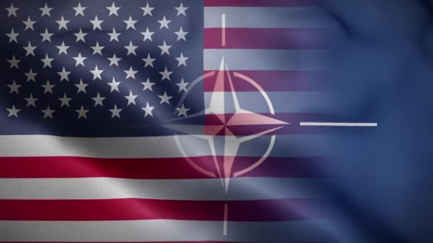 Nato Usa Flag Loop Background — стокове відео