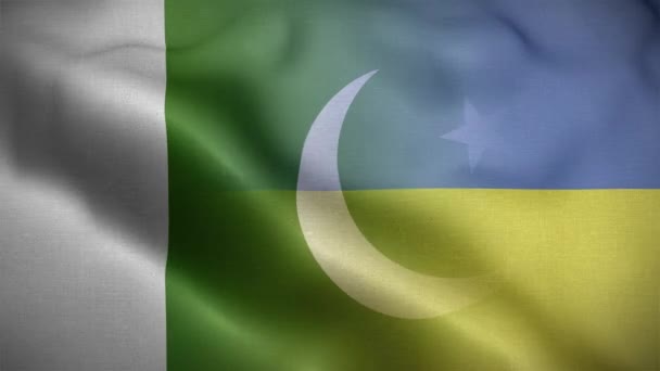 Ukraine Pakistan Flag Loop Background — стокове відео