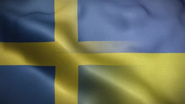 Ukraina Sverige Flagga Loop Bakgrund — Stockvideo