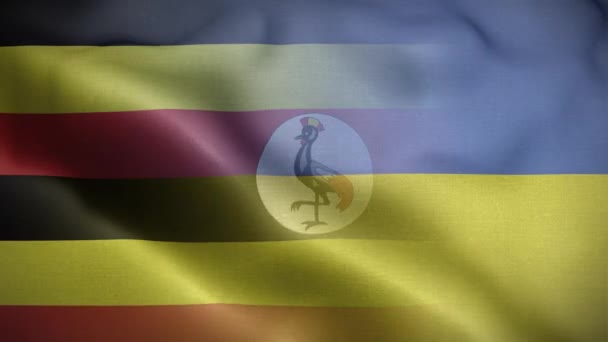 Украина Флаг Уганды Петля Фон — стоковое видео