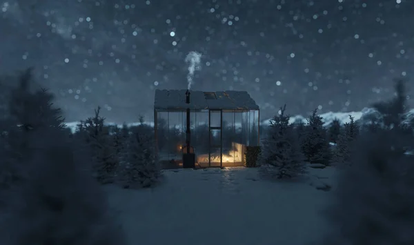 Візуалізація Затишної Хатини Скляними Панелями Лісі Вночі — стокове фото