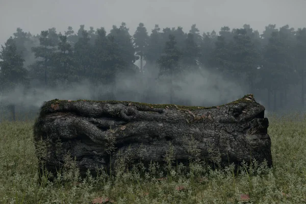 Рендеринг Укладки Старой Яблони Перед Туманным Лесом — стоковое фото