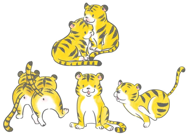 Cute Tiger Character Hand Drawn Illustration Set — Stock Photo, Image