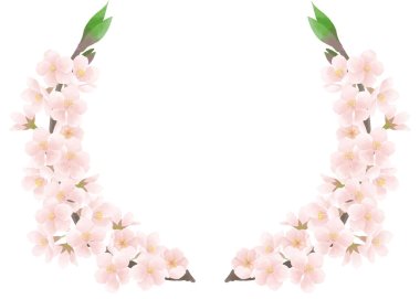 Kiraz çiçeği dekorasyon malzemesi