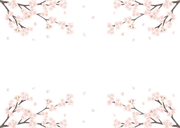 Cherry Blossom Watercolor Background Material — Fotografia de Stock