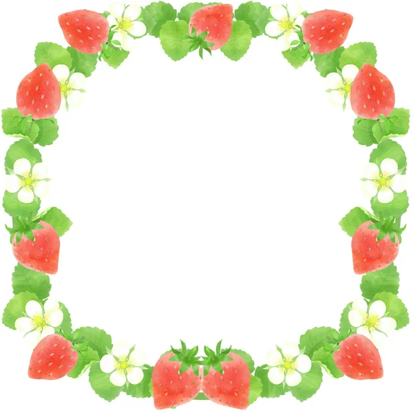 Strawberry Watercolor Material Decorative Frame Decorative Material — Stock Photo, Image