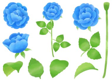 Suluboya dokunuşla çizilmiş gül parçaları. 