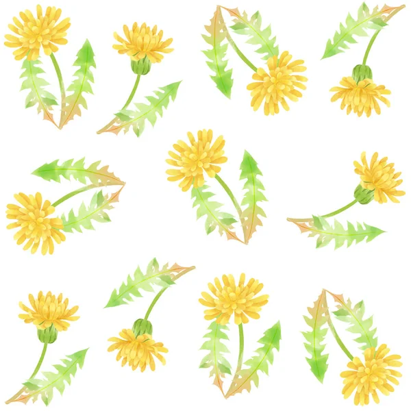 Pattern Material Watercolor Touch Dandelion Motif — Stock Photo, Image