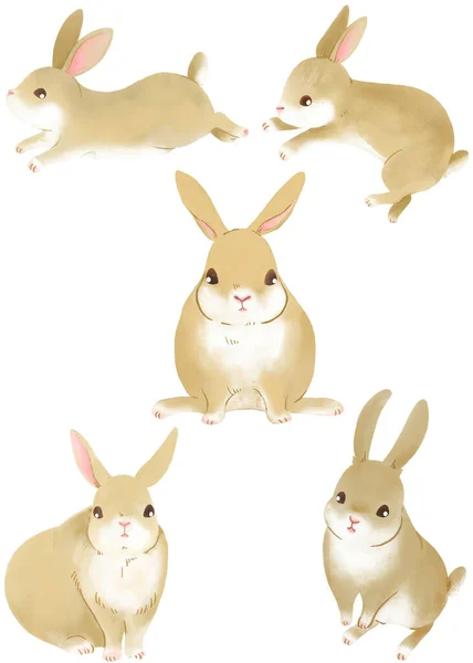 Ручной Рисунок Кролика — стоковое фото