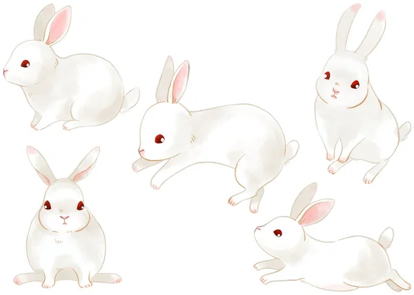 Ensemble Illustration Lapin Dessiné Main — Photo