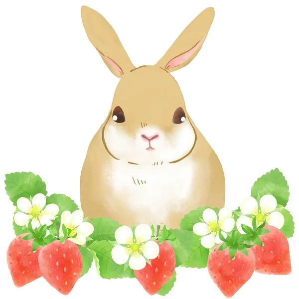 Иллюстрация Кролика Окруженного Клубничными Цветами — стоковое фото