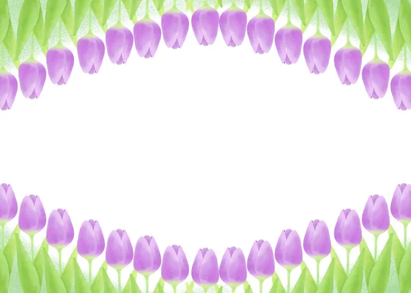 Moldura Decorativa Com Motivo Tulipa — Fotografia de Stock