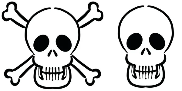 Skull line drawing illustration material