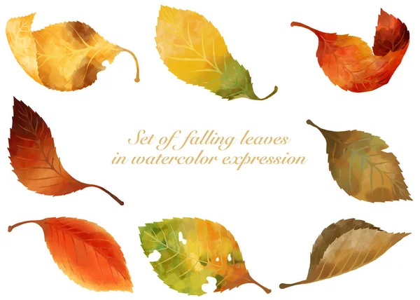 Düşen yapraklar suluboya ile çizilmiş.