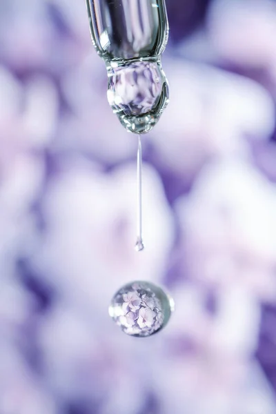 Een druppel cosmetische olie valt uit de pipet op een paarse bloemenachtergrond. — Stockfoto
