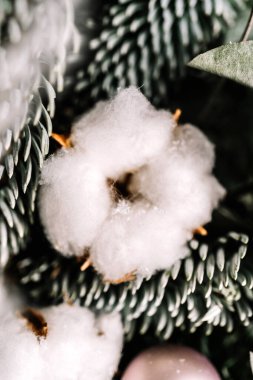Dekoratif kurutulmuş çiçek. Beyaz pamuklu yakın plan. Makro.