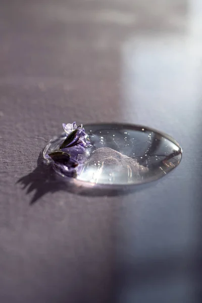 Крапля косметичного гелю з квіткою лаванди на фіолетовому фоні . — стокове фото