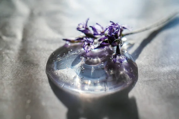 ベージュ地にラベンダーの花を持つ化粧品ゲルのドロップ. — ストック写真