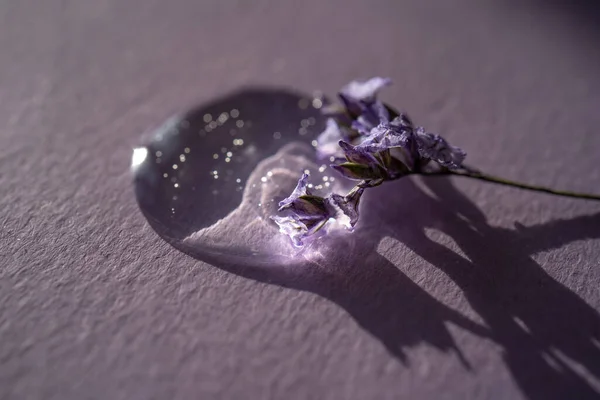 紫色の背景にラベンダーの花と化粧品ゲルのドロップ. — ストック写真