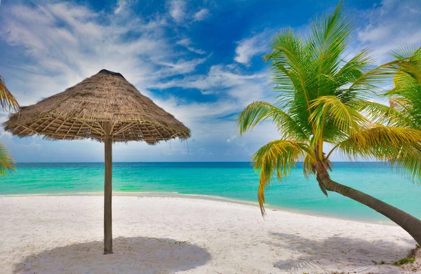 Tropical Island Beach Cambodia — Stockfoto