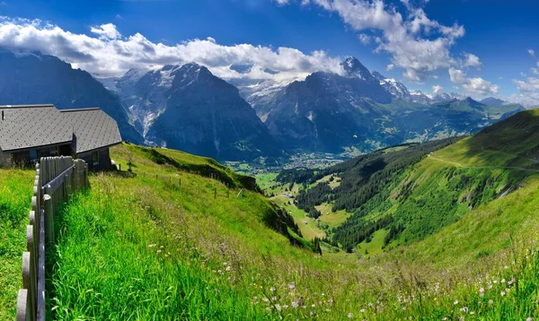 Erster Cliff Walk Grindelwald Schweiz — Stockfoto