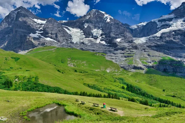 Schweizer Alpen Hochsommer Einem Sonnigen Tag — Stockfoto