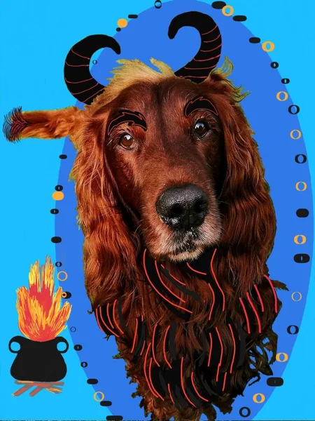 Cute dog with devil horns. Adorable serious Irish setter in a naughty devil mask next to a cauldron with fire.