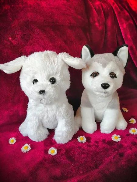 Stuffed animals. Cute toys in the form of two dogs representing a Bichon Frize and a Siberian Husky.