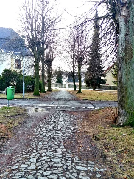 Callejón Linden Invierno Camino Parque Hecho Cubos Granito Alineados Con —  Fotos de Stock