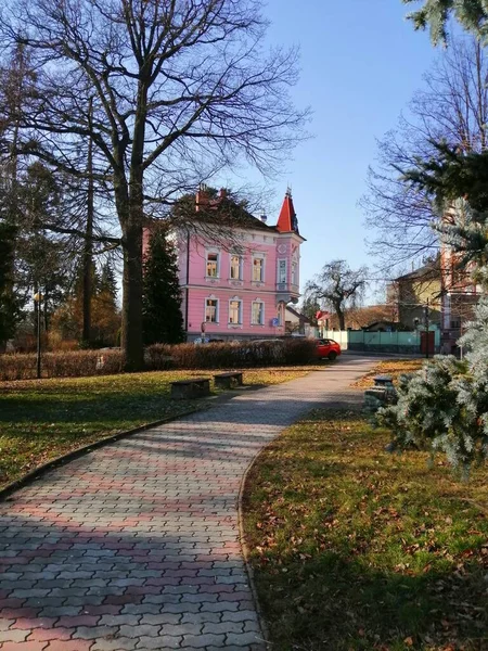 Park Widokiem Architekturę Non Śnieżny Park Zimie Słoneczny Dzień Widokiem — Zdjęcie stockowe