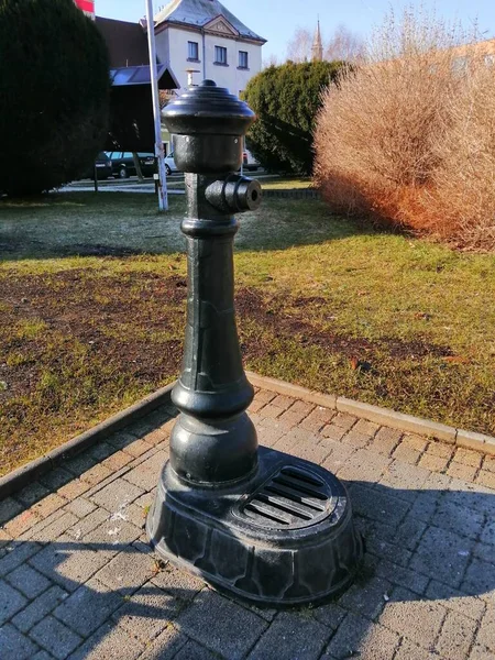 Hydrant Wodny Hydrant Wodą Pitną Zimą Parku Miejskim — Zdjęcie stockowe