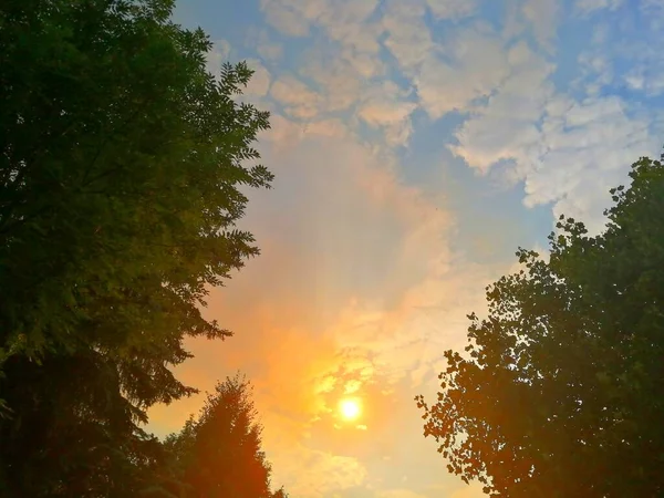 Beautiful Sunset Park Evening — Foto Stock