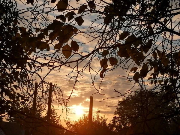 Картинный Вид Открытую Сцену Восход Солнца Осенью Городе — стоковое фото