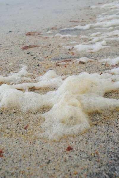 Sahilde deniz köpüğü