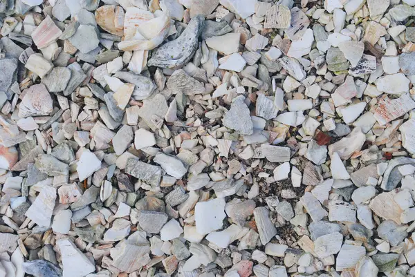 Ezilmiş gri ve beyaz kabuk arkaplanı