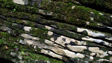 Gri kireç taşı dokusu.