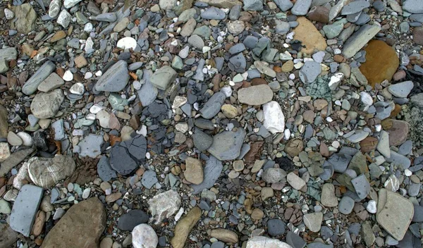 River Colored Stones Background Stones — Stock Photo, Image