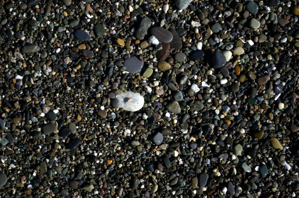 背景和质地 湿透了的五彩缤纷的海卵石 — 图库照片