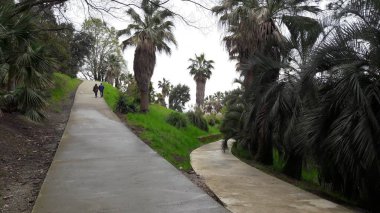 Sochi 'deki güzel ağaç bahçesi.. 
