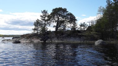 Ladojskoe Gölü, güzel taşlar ve ağaçlar..