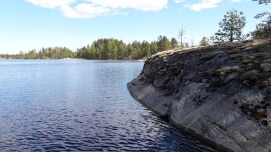 Ladojskoe Gölü, güzel taşlar ve ağaçlar..