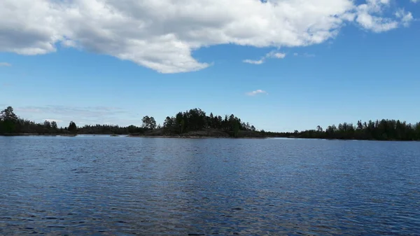 Ладойське Озеро Гарні Камінці Дерева — стокове фото