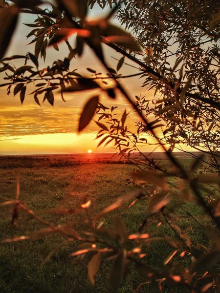 Heller Sonnenuntergang Einer Landschaft — Stockfoto