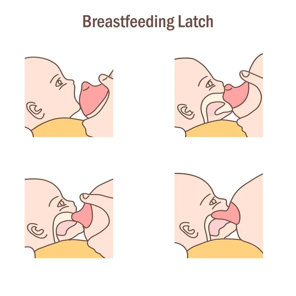 Process Perfect Baby Breastfeeding Latch — Wektor stockowy
