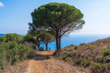 Akdeniz kıyısında, Toskana Takımadası, İtalya 'da Elba adasında gün batımında elektrikli dağ bisikleti süren hoş bir kadın.