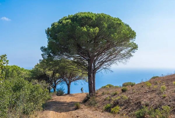 Nice Woman Riding Her Electric Mountain Bike Sunset Coastline Mediterranean — Stock Photo, Image